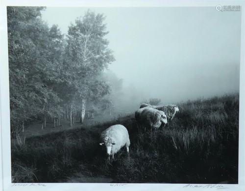 Alistair McCallum; Photo GSP Summer Pasture