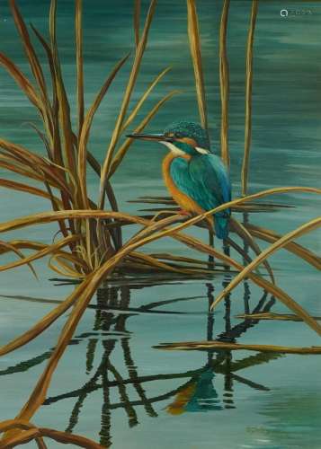 Kingfisher on reeds above water, oil on board, indistinctly ...