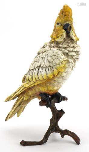 Cold painted bronze cockatiel on a branch in the style of Fr...