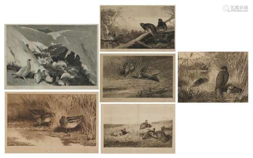 Archibald Thorburn - Birds and ducks before landscapes, six ...