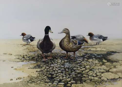 Berrisford Hill (born 1930) watercolour study of ducks on a ...