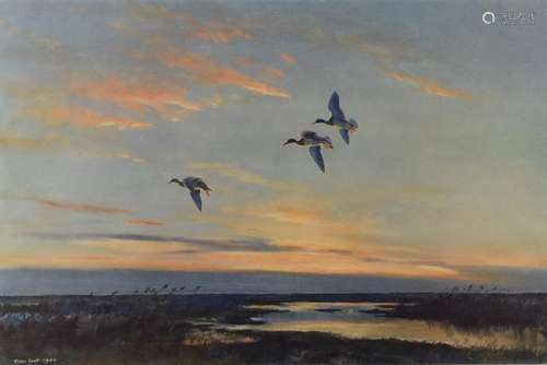 Peter Scott (1909-1989) signed print of ducks in flight, 38 ...