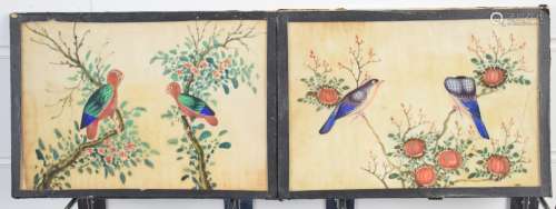 Pair of Chinese watercolours on silk of birds, 14 x 20cm