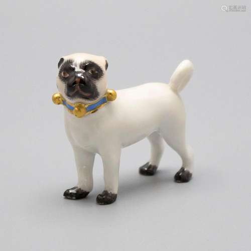 Ein Mops mit blauem Halsband / A pug dog with a blue collar,...