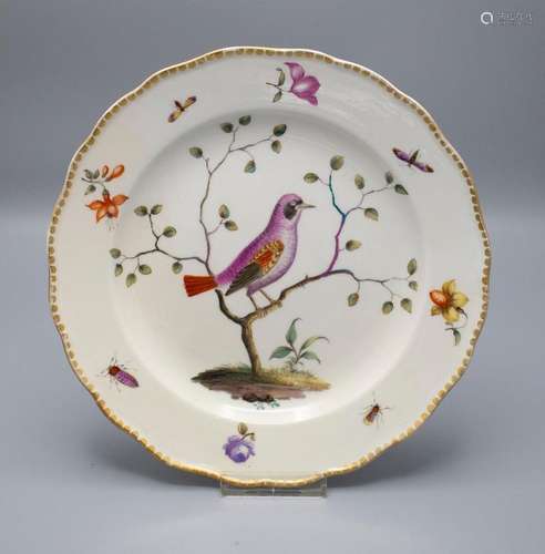 Teller mit Vogel- und Insektenmalerei / A plate with a bird ...