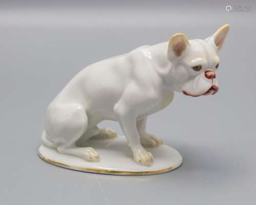 Tierplastik 'sitzende französische Bulldogge' / A figure of ...