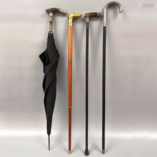 A set of walking sticks and umbrellas