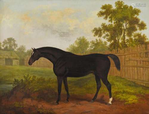 JAMES BARENGER (1780-1831). TRAMP, A DARK BAY HORSE IN A PAD...