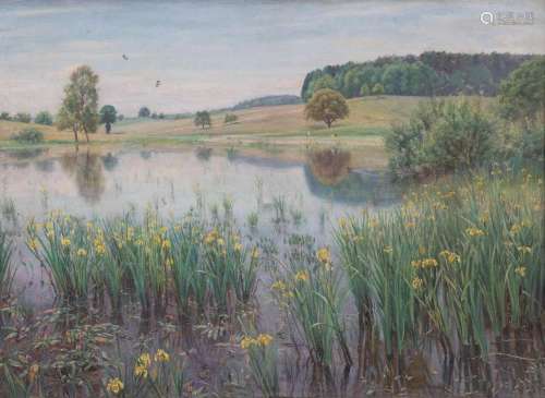 Walter WAENTIG (1881-1962), Wasserschwertlilien im Weiher, G...