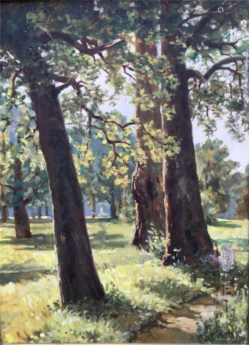 Oil painting sunny forest