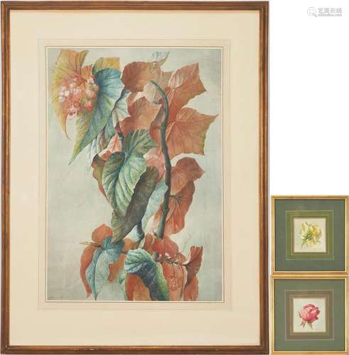 3 EDWARD HURST PASTEL WORKS, LARGE STILL LIFE & BOTANICA...