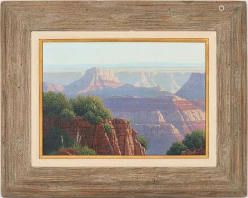 MICHAEL HADLEY O/B LANDSCAPE, GRAND CANYON