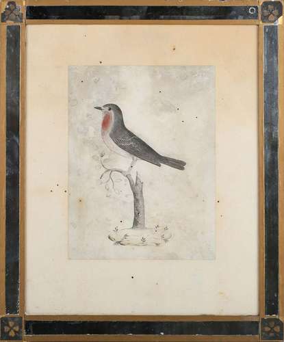 Attributed to the Indian Company School - Red-breasted Flyca...