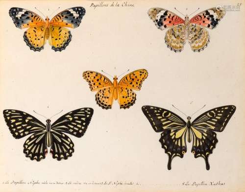 French School 18th/19th Century Papillons de la Chine