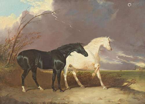 English School, 19th Century A black horse with a grey horse...