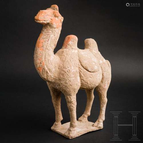 A camel from the Tang Dynasty, China, 800 AD