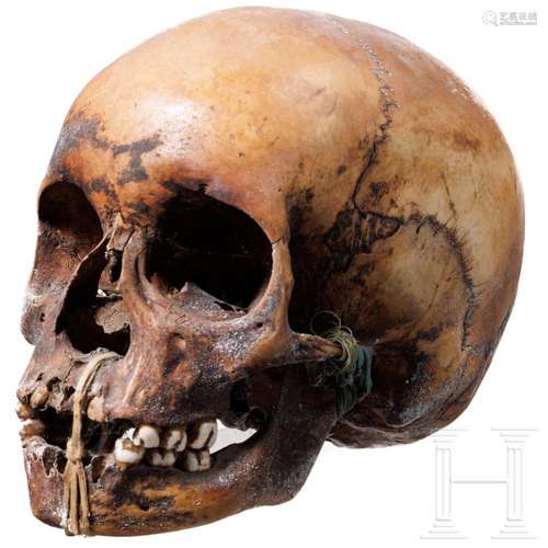 A Papua New Guinean ancestor skull of the Asmat