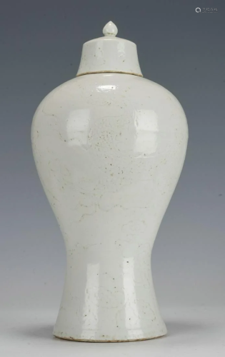 Chinese Ming White Glazed Dragon Mei Vase and Cover