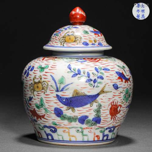 Ming Dynasty,Multicolored Fish Pattern Jar