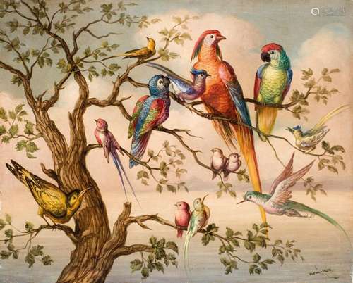 Enrique Monís Mora. exotic birds