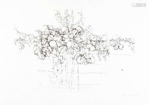 Antonio Lopez Garcia. Fruit Tree (2007)