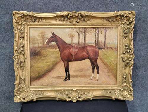 Painting Of Horse In Carved Frame