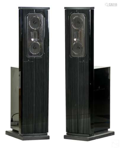 Steinway & Son LYNGDORF Model C Floor Speaker PAIR