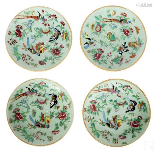 Chinese Famille Rose Celadon Porcelain Plates SET