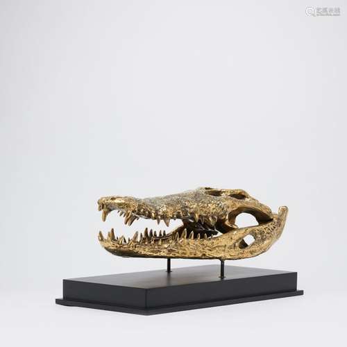 Heavy XL Saltwater Crocodile Skull fashioned in bronze, on c...