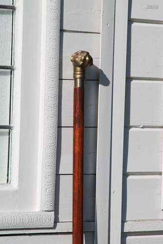 walking stick with a bulldog handle - wood metal