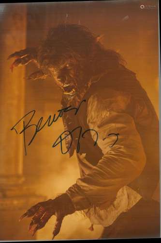 Benicio del Toro signed 12x8 colour photo. Good condition. A...