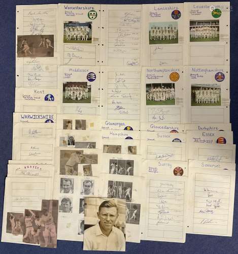 Cricket Collection of 50 Plus A4 Sheets Filled With Autograp...