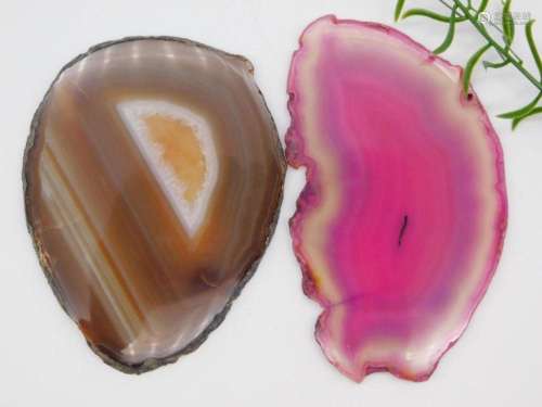 AGATE SLICES ROCK STONE LAPIDARY SPECIMEN