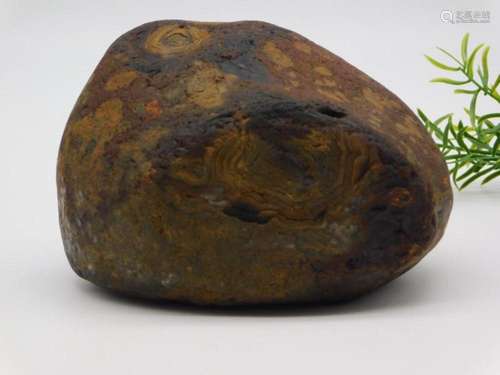 4 POUND BLACK SKIN AGATE ROCK STONE LAPIDARY SPECIMEN