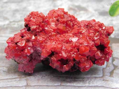 RED ALUM ROCK STONE LAPIDARY SPECIMEN