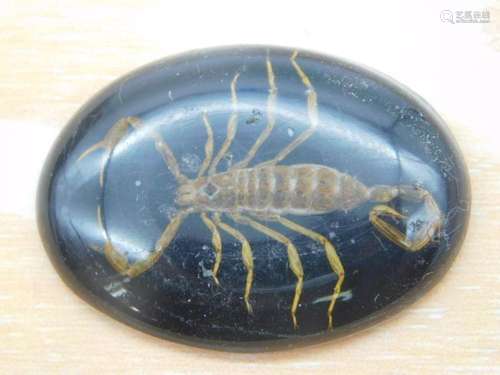 SCORPION CABOCHON ROCK STONE LAPIDARY SPECIMEN