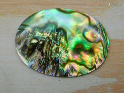 ABALONE CABOCHON ROCK STONE LAPIDARY SPECIMEN