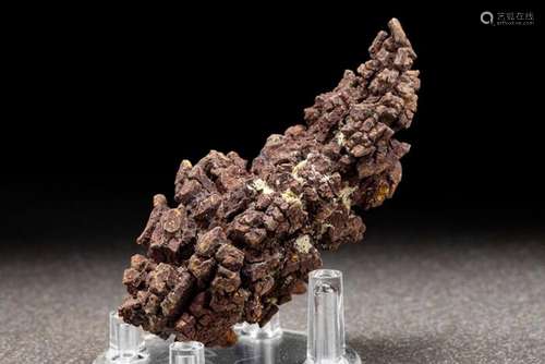 Nice massive natural fossilized Poop - complete - Coprolite ...