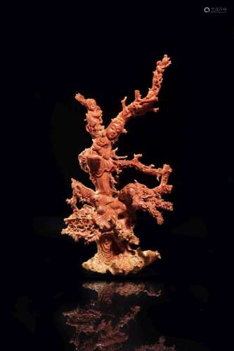 CORAL BRANCH