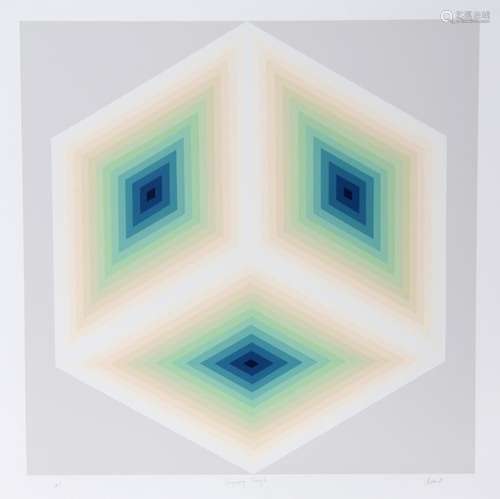 JURGEN PETERS, IMAGINARY TRIANGLE, SILKSCREEN