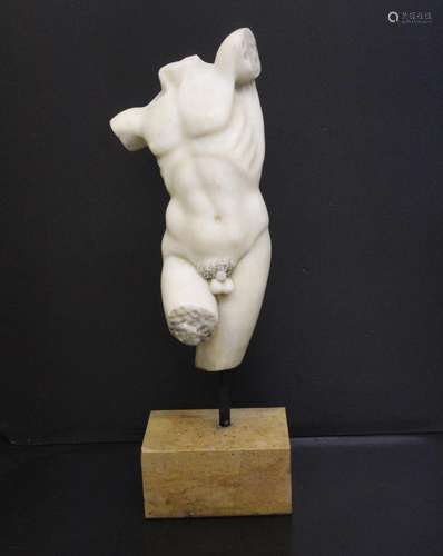 Torso from the Michelangelo model