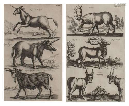 John Jonston (1603-1675), two folios of 'Historiae Naturalis...