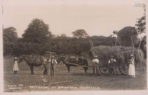 An album containing approximately 117 postcards of West Suss...