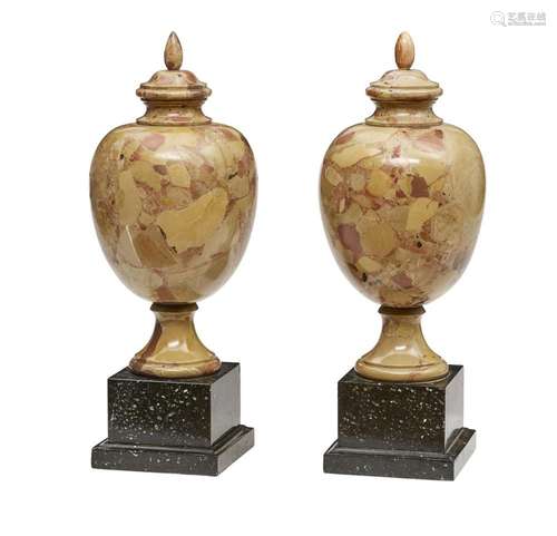 A PAIR OF ITALIAN BRECCIA MARBLE URNS19th century