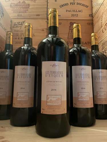 2014 Château Terrasses les Eyquems - Bordeaux - 6 Magnums (1...