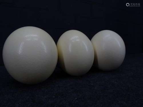 ostrich eggs (3)