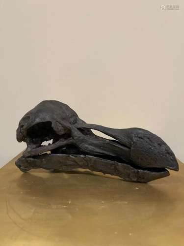 Replica Mauritian Dodo Skull - - Raphus cacculatus - 9×9×20 ...