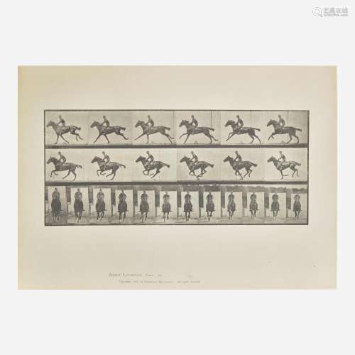 [Photography] Muybridge, Eadweard Collection of 111 Plates f...