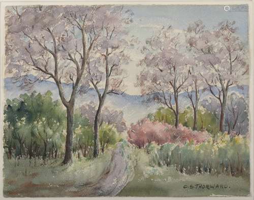 Clara Schafer THORWARD (1887-1969)
.
Paysage printanier