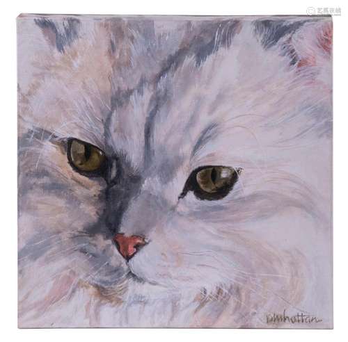 CONTEMPORARY CAT PORTRAIT BY PATRICIA HATTAN